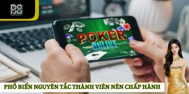 Phổ biến nguyên tắc thành viên nên chấp hành